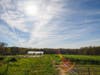 Husky Meadows Farm, Norfolk, CT
