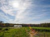 Husky Meadows Farm Norfolk, Ct