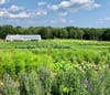 Tour an amazing certified organic garden with  Farmer Brett