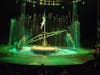 Experience the thrill of the Wow Water Circus