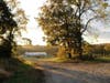 Unwind in autumn's splendor