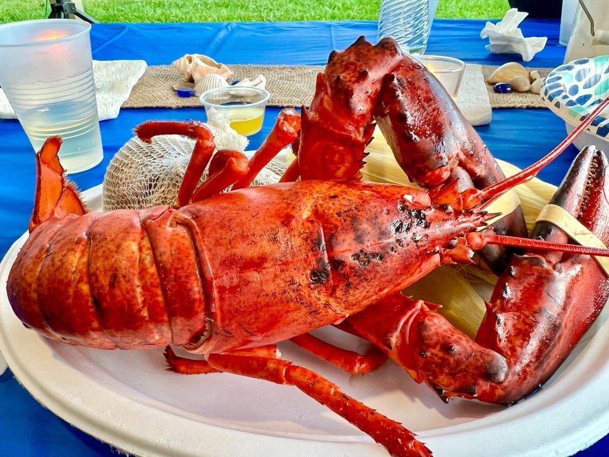 https://patch.com/img/cdn20/users/1074549/20240829/050303/styles/patch_image/public/lobster-dinner___29170244447.jpg