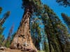 America's National Parks are amazing!