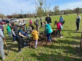 Trees Planted at Troy Preschool | Troy, MI Patch
