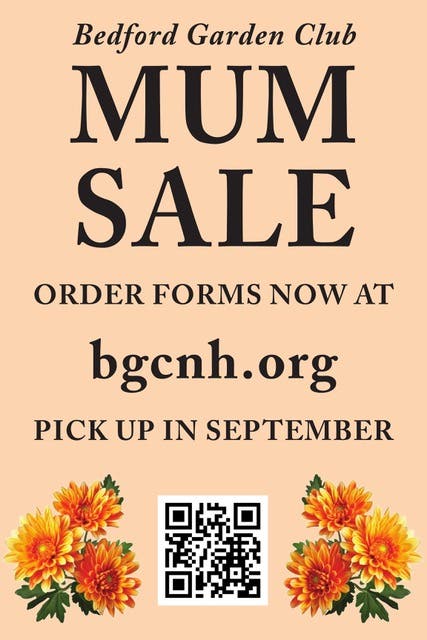 Bedford Garden Club Mum Sale Continues