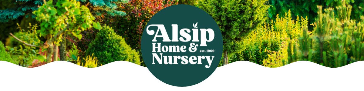 Alsip Home & Nursery - Frankfort, IL