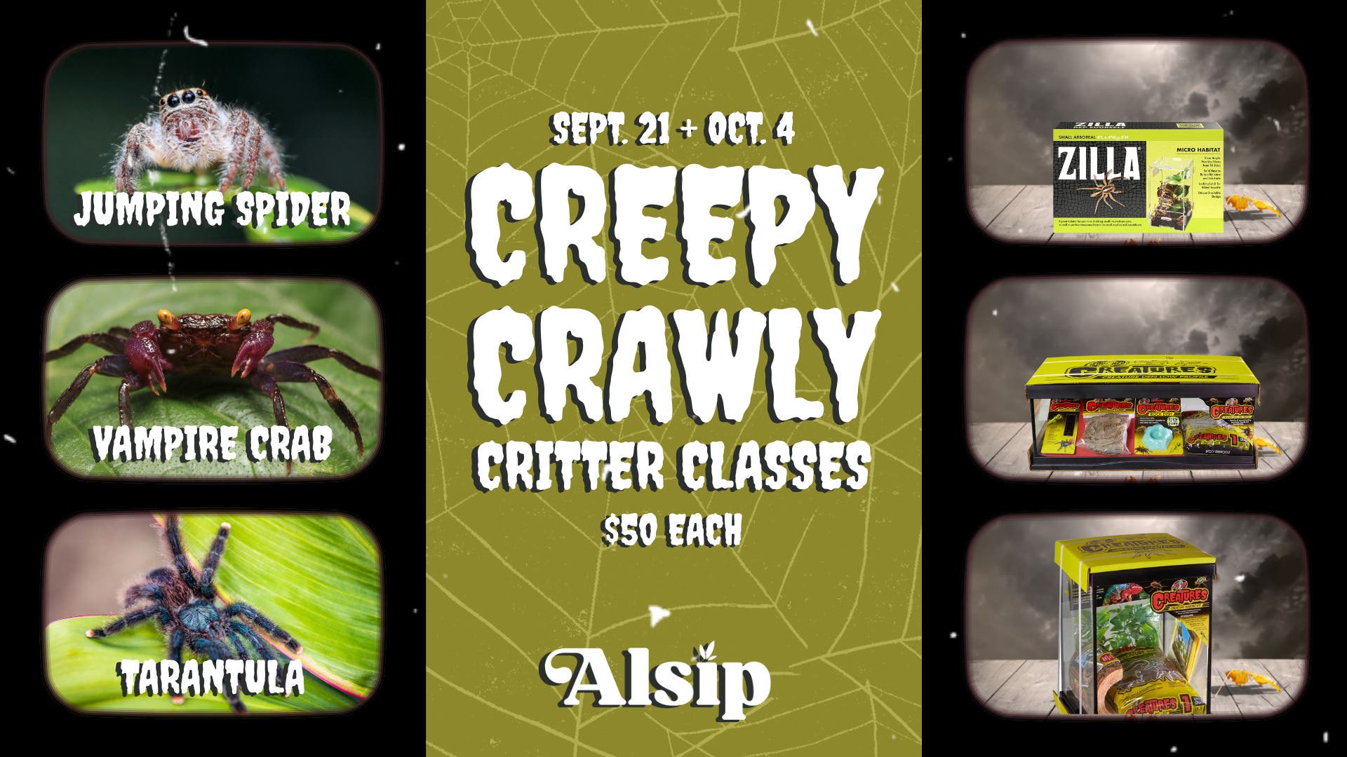 Creepy Crawly Critter Classes