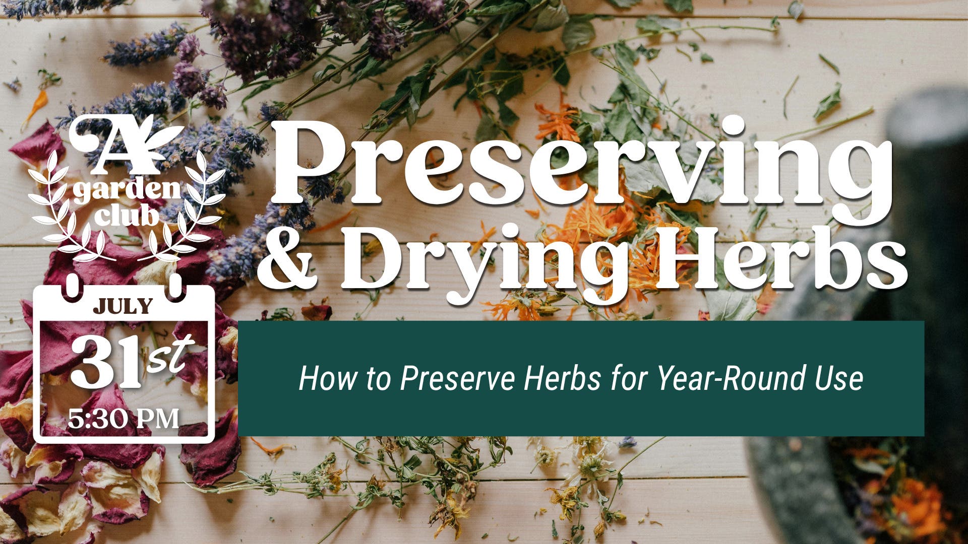 Garden Club - Preserving & Drying Herbs + Flower Frogger Project