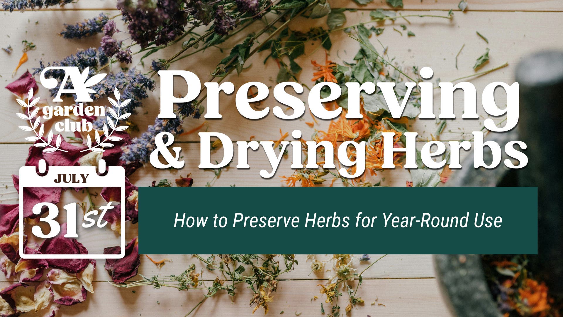Garden Club - Preserving & Drying Herbs + Flower Frogger Project