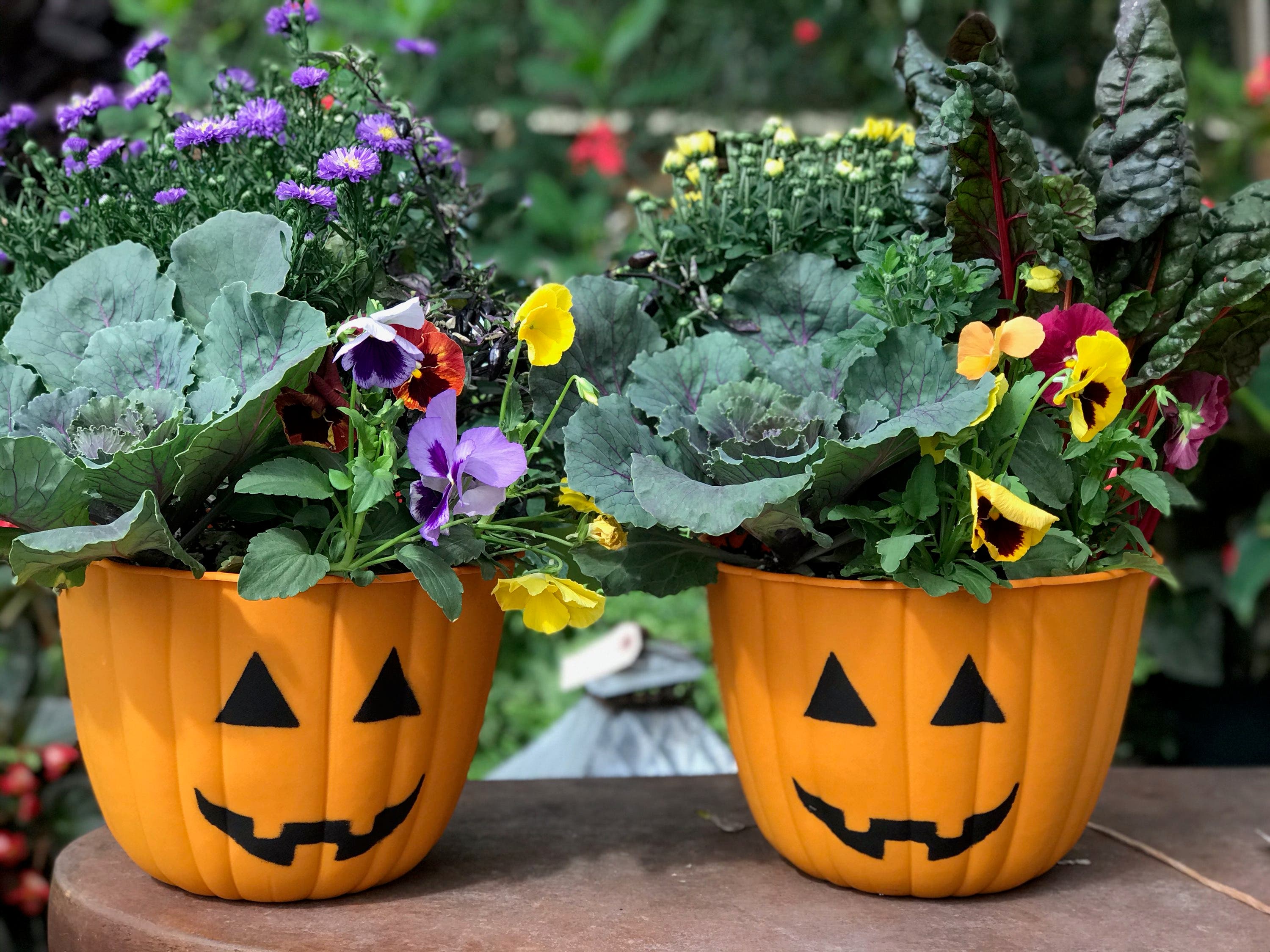 Fall Container Workshop