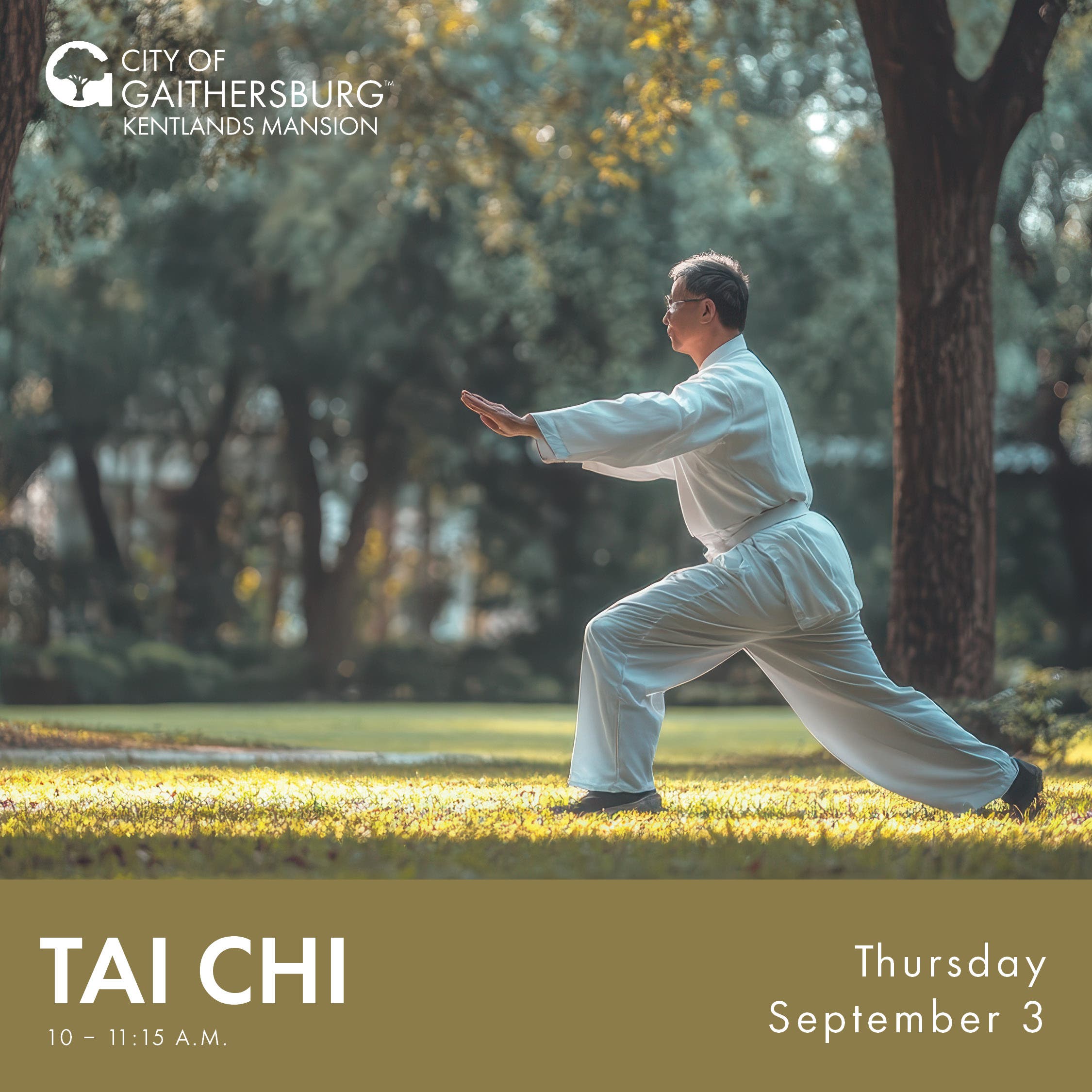 Tai Chi