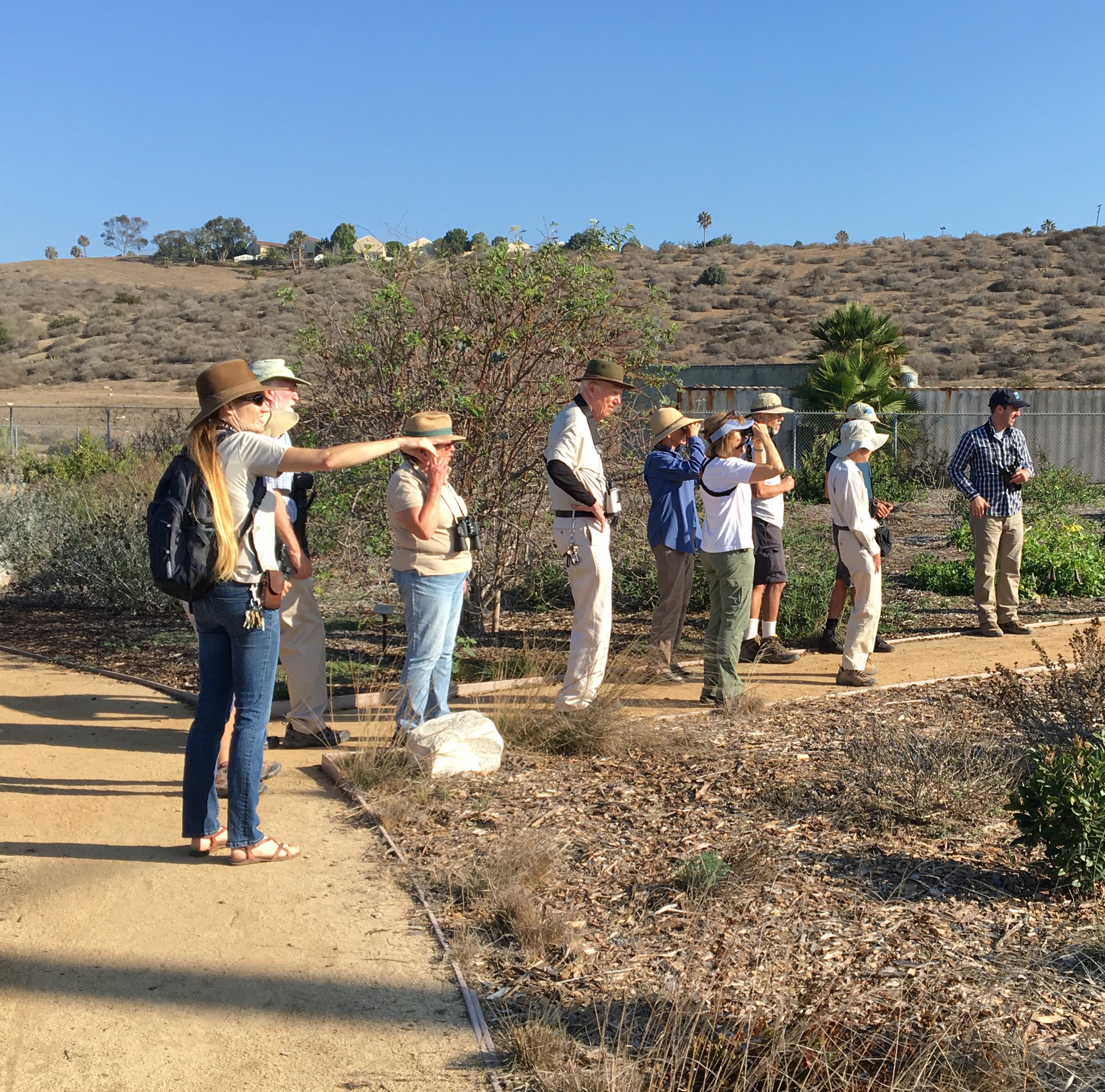 Where Sea Meets Sky: Coastal Birdlife Walk with the Palos Verdes Peninsula Land Conservancy