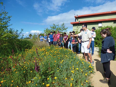Native Plant Wonders: Guided Garden Tour