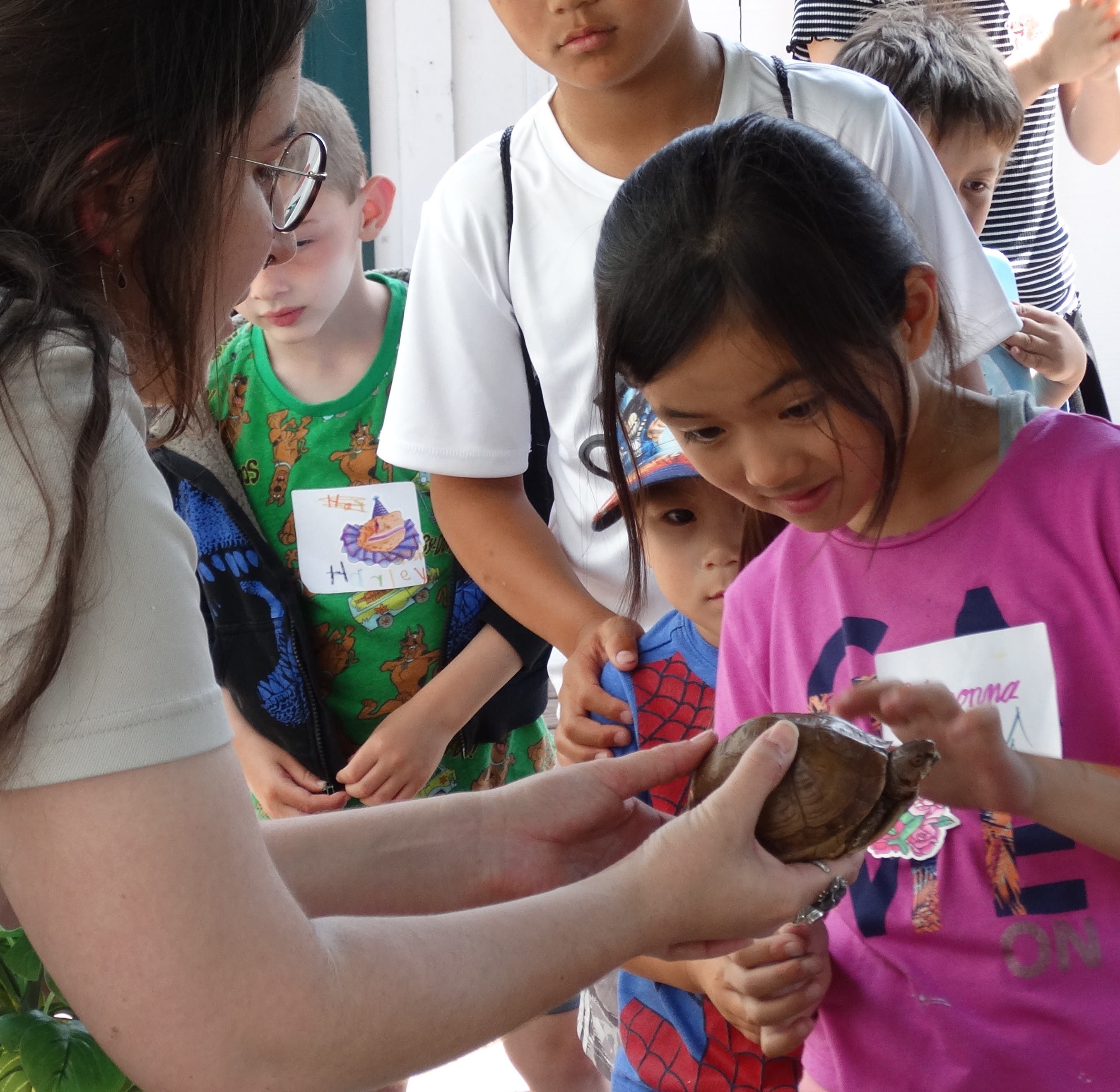 Nature Club for Kids – Reptiles at the White Point Nature Education Center