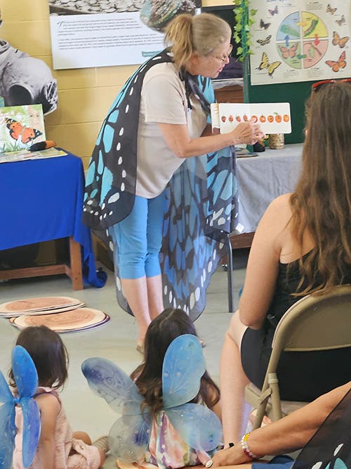 Storytime Tails – Brave Butterflies at the White Point Nature Education Center