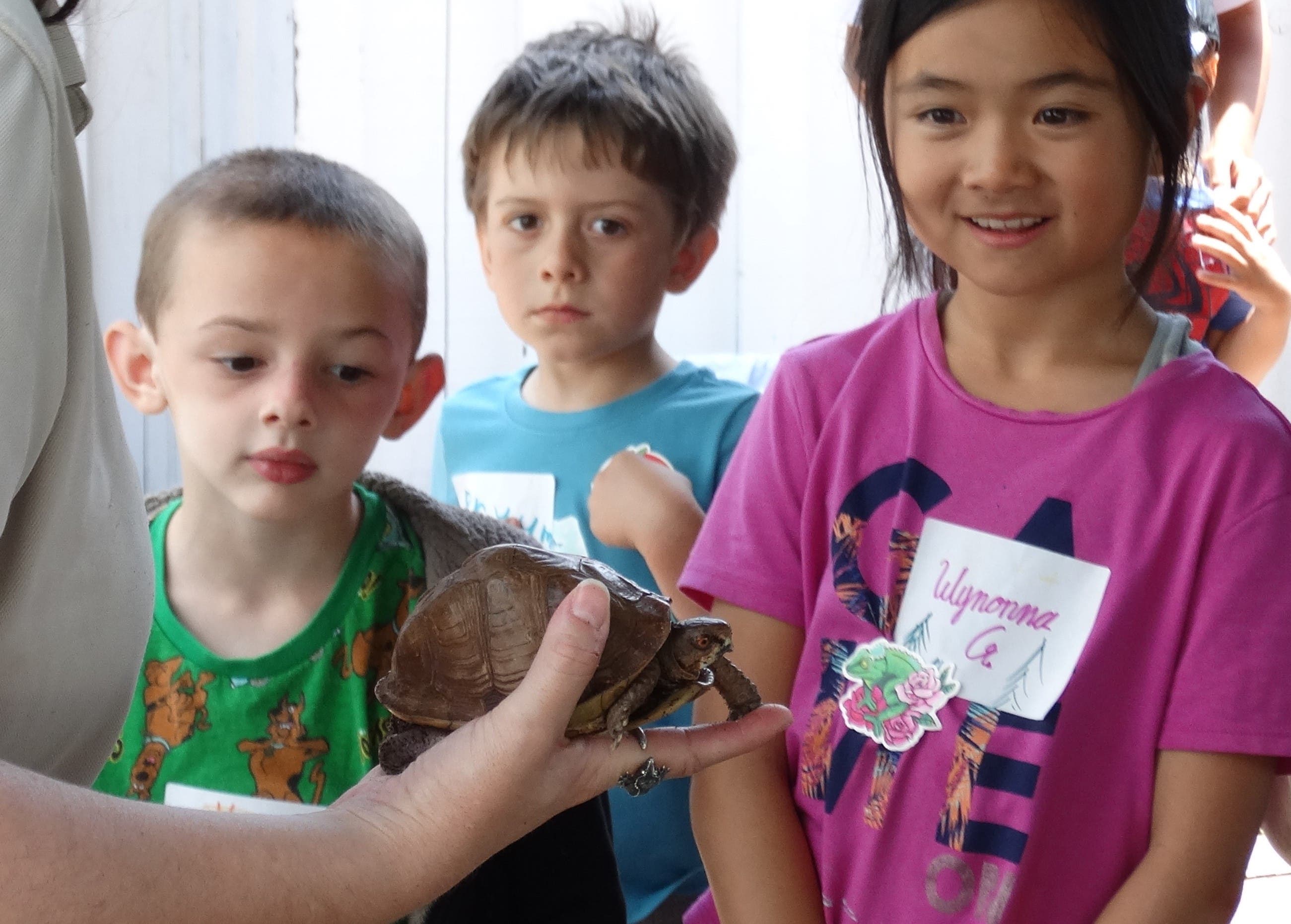 Nature Club for Kids: Reptiles with the Palos Verdes Peninsula Land Conservancy