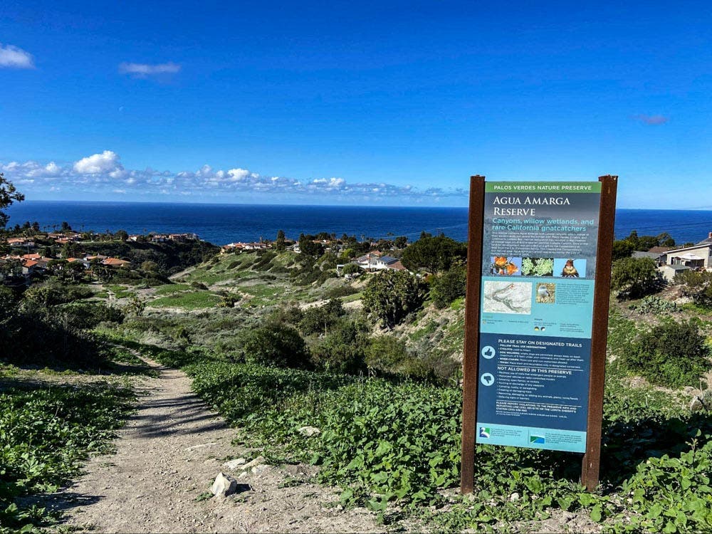 Be Part of a Butterfly Comeback Volunteering with the Palos Verdes Peninsula Land Conservancy