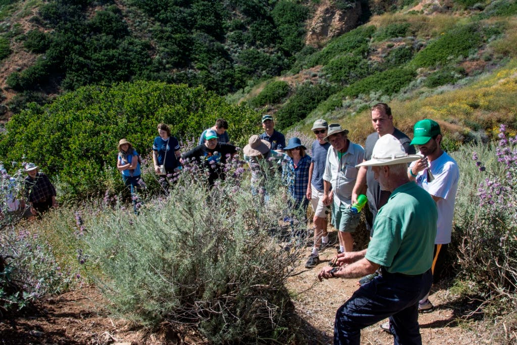 Portuguese Bend Reserve: Nature Walk with the Palos Verdes Peninsula Land Conservancy