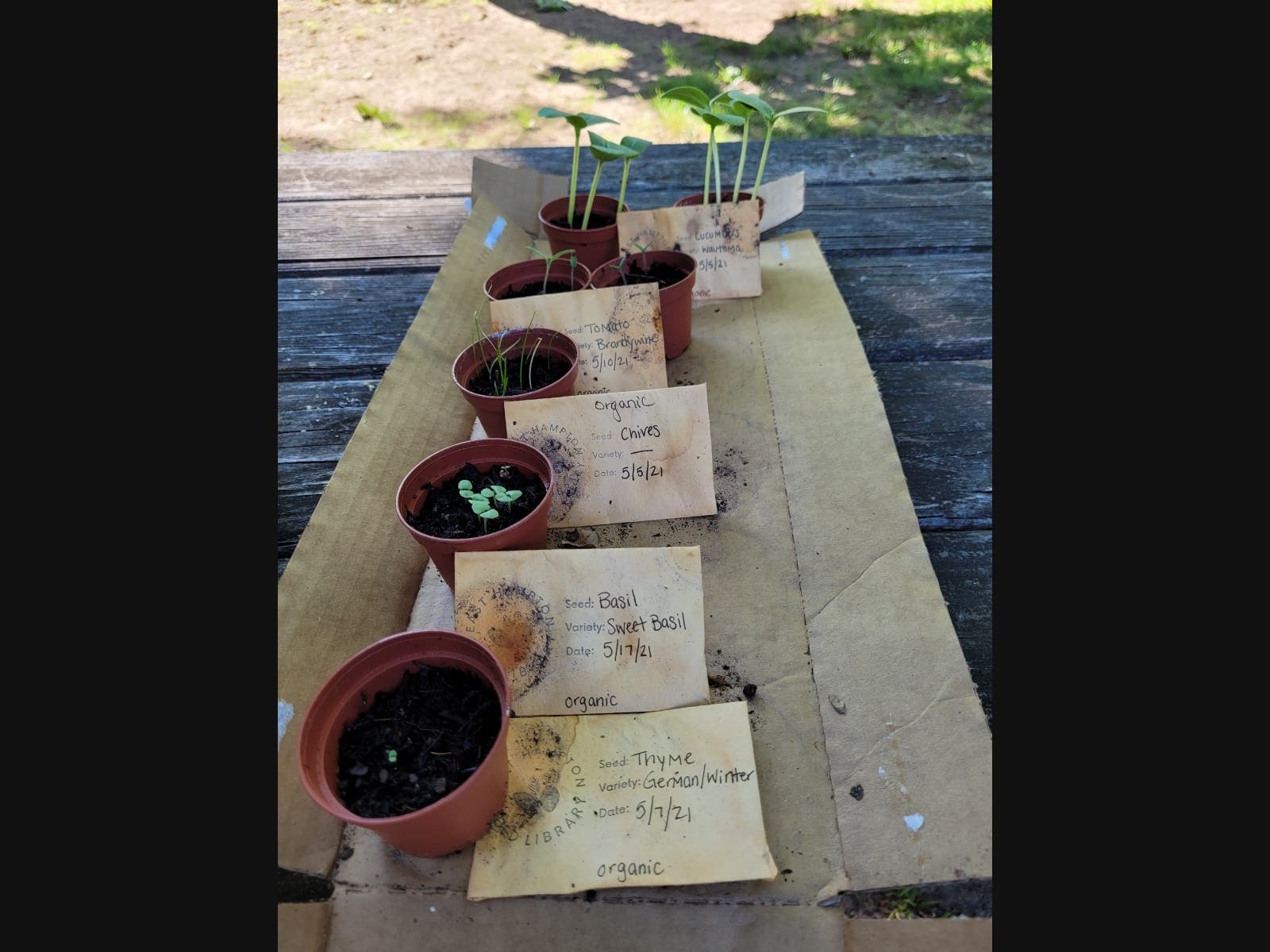 Scott Raynor - East Hampton Library 