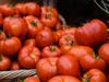 South Orange Farmers Market Returns 30th  Season Wed Jun 2