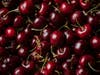 South Orange Farmers Market Returns 30th  Season Wed Jun 2