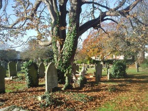 Zoom Program: Reading The Stones -- What Cemeteries Can Teach Us About Public Health