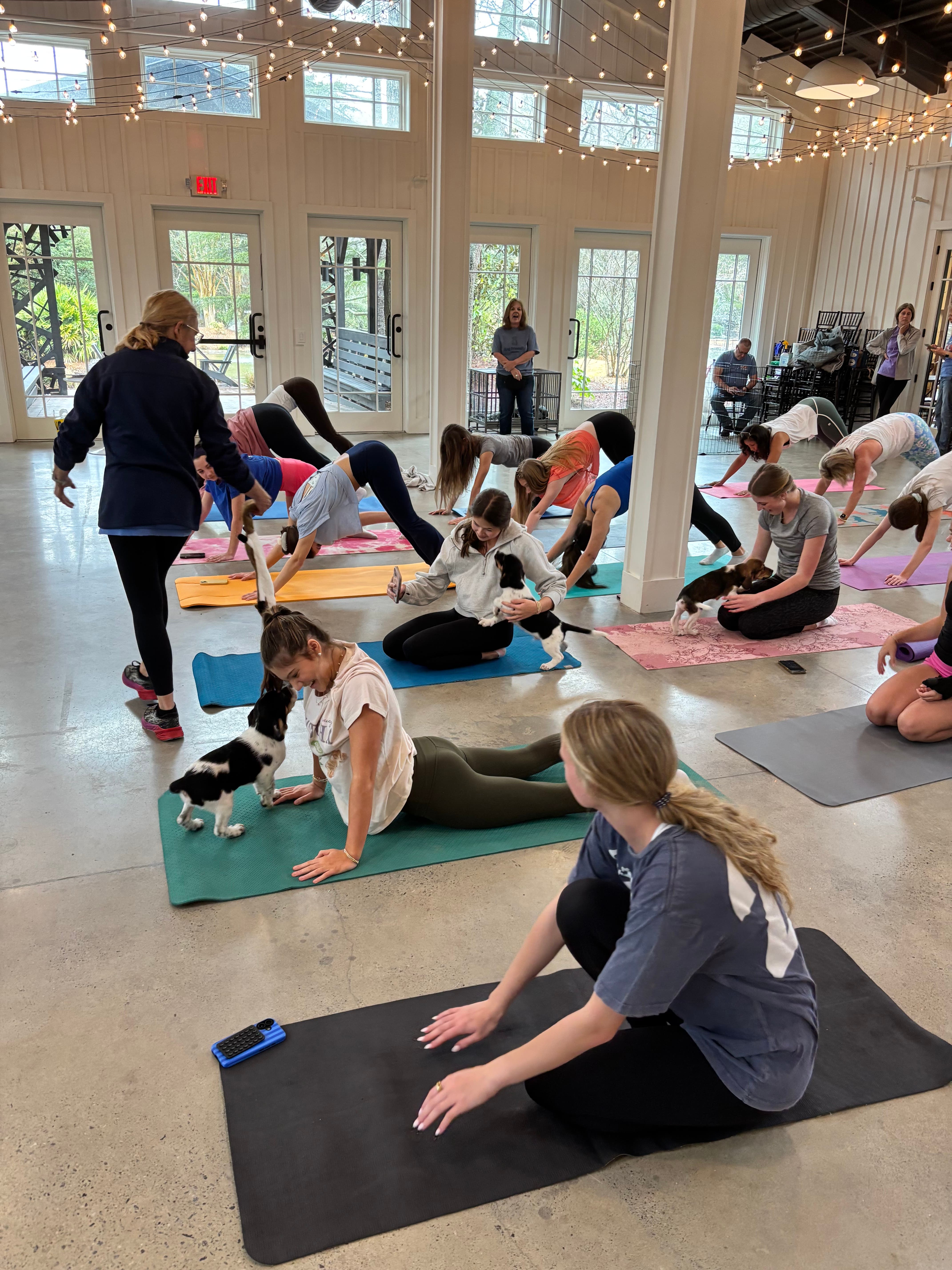 Furkids Puppy Yoga Series Returns with Rescue Puppies, Morning Yoga and a Good Cause