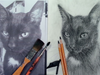 A guest's view from the Virtual artists demonstration of a cat's portrait by ShawnaLee W. Kwashnak.  Sumi, a gorgeous black cat, was the selected subject for the demonstration held during the April art show.