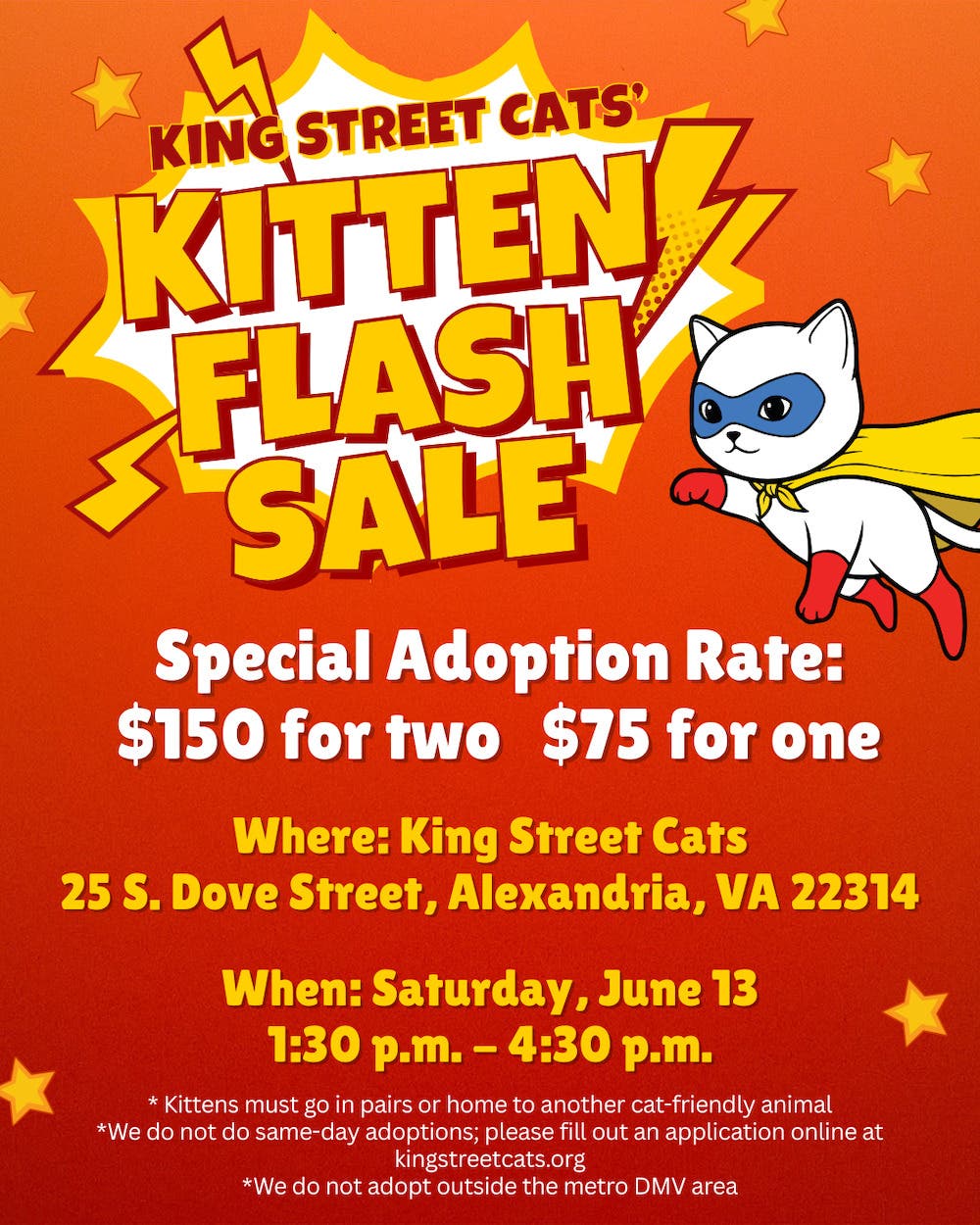 Flash Kitten Sale