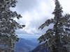 Frosted trees and SAn Bernadino County in the distance