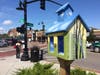 The Read In Color program will be help supply diverse books to Dedham's dozen Little Free Libraries across Dedham.