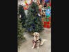 Come meet Rudy the DPD Police Dog!