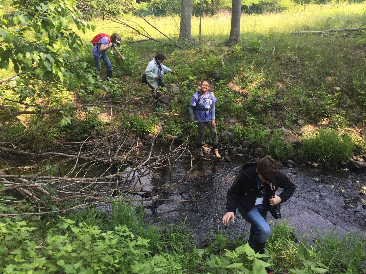 News small post card thumbnail