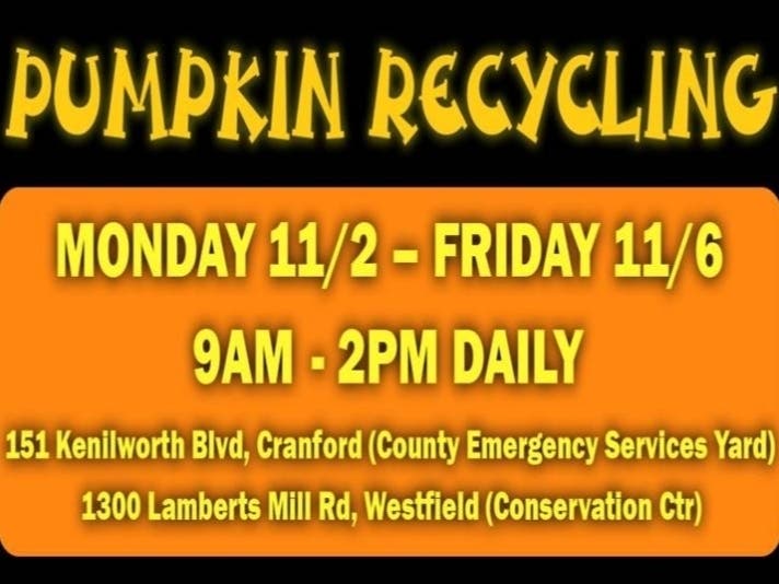 https://patch.com/img/cdn20/users/1171300/20201027/013100/styles/patch_image/public/pumpkin-recycling___27132929454.jpg
