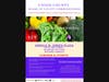 August Food Distribution 