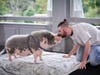 Jacob Reed, Data Engineer, Freedom Mortgage, joined in the pig-kissing fun at TruMark Financial’s Feed-Or-Kiss-A-Pig Financial Literacy Fundraiser held at the Abington Art Center. The event raised more than $20,000 to support financial literacy programs.