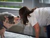 Liz Gohl, TruMark Financial Assistant Vice President, Deposit Operations, brings her enthusiasm to work and to kissing a pot-bellied pig for a great cause. TruMark Financial’s Feed-Or-Kiss-A-Pig Financial Literacy Fundraiser raised more than $20,000.