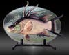 "Hogfish"