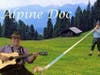 Alpine Doc