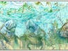 "Manatee Springs" by mixed-media artist Carly Mejeur