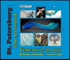 8th Annual St. Petersburg Fine Art Festival