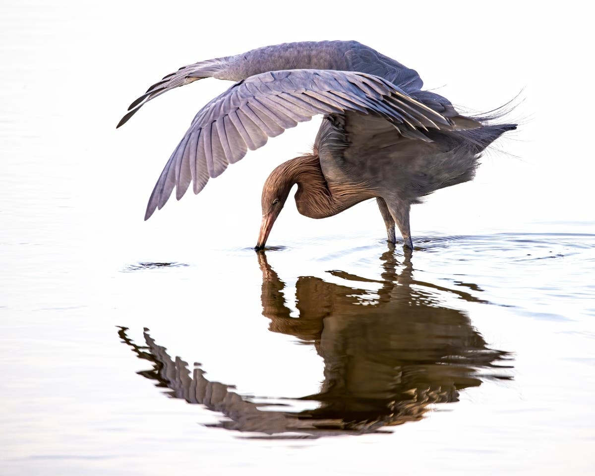 Geoff Partch Premiere of the Lido Beach Spring Craft Show | Sarasota, FL Patch