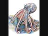 "Octopus 10" by painter Tiffany Heiser