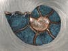 "Nautilus" by metal artist David Campbell