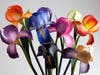 Wooden flowers by wood artist Dee Miller