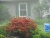 Passing out the lawn signs in the early morning fog