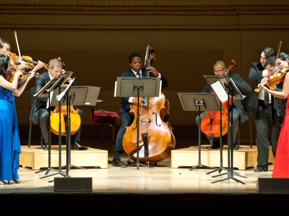 The SPHINX VIRTUOSI at Carnegie Hall 2011, PERFORMANCE