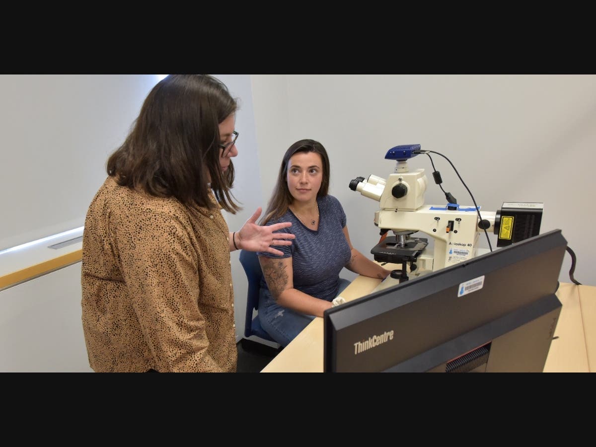 (l-r): Assistant Professor of Biology Dr. Kristin Giamanco and recent graduate Krisa FitzGerald in WCSU’s Microscopy Lab. 