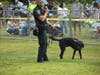 K9 Judge and his partner Officer Pinho

