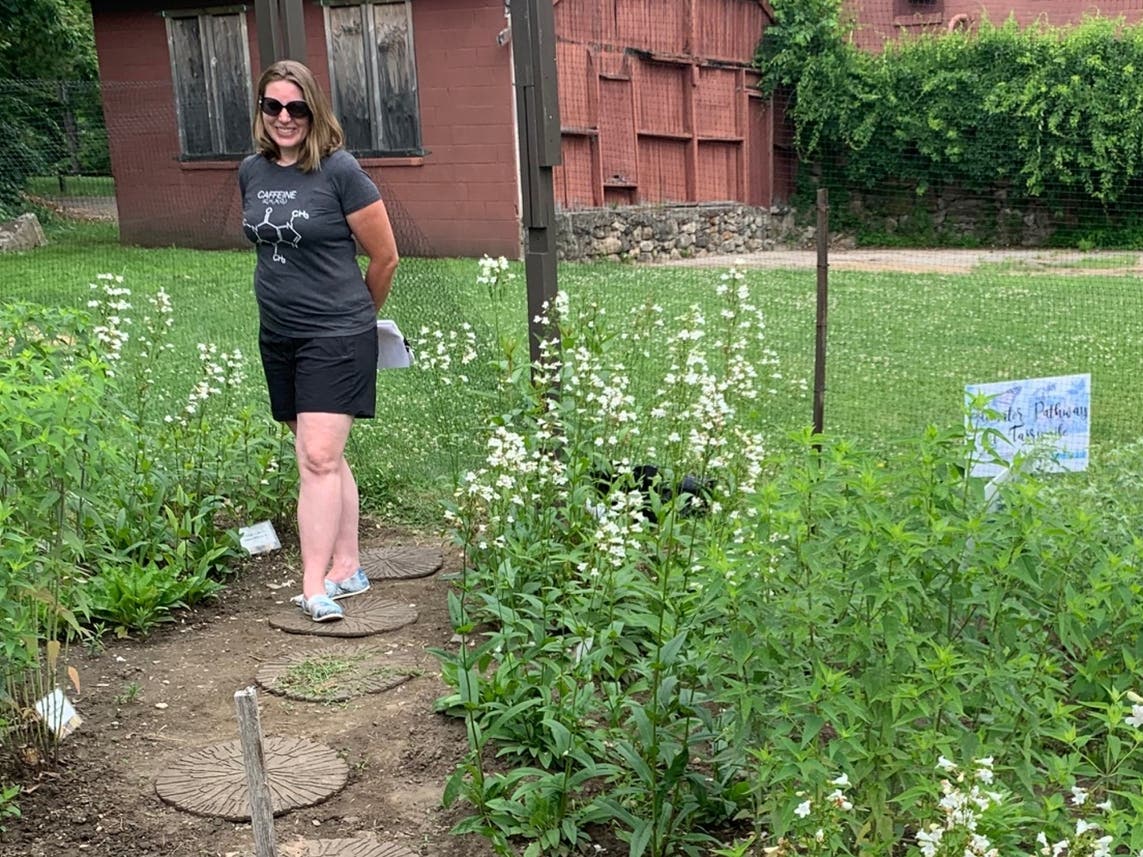 JoAnn D’Addio in the Pollinator Garden at Tarrywile Park in Danbury.